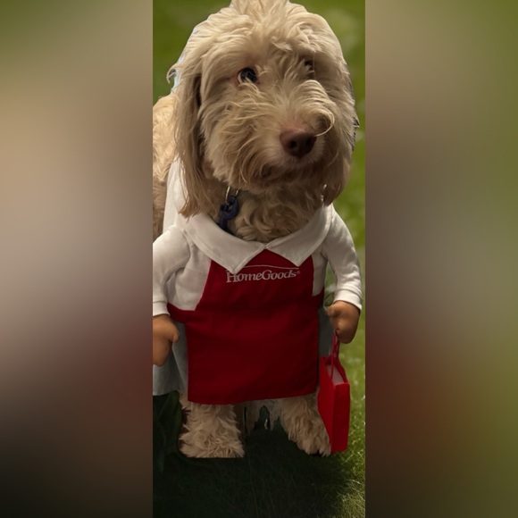 Meet your Posher, Eve - Picture 1 of 1